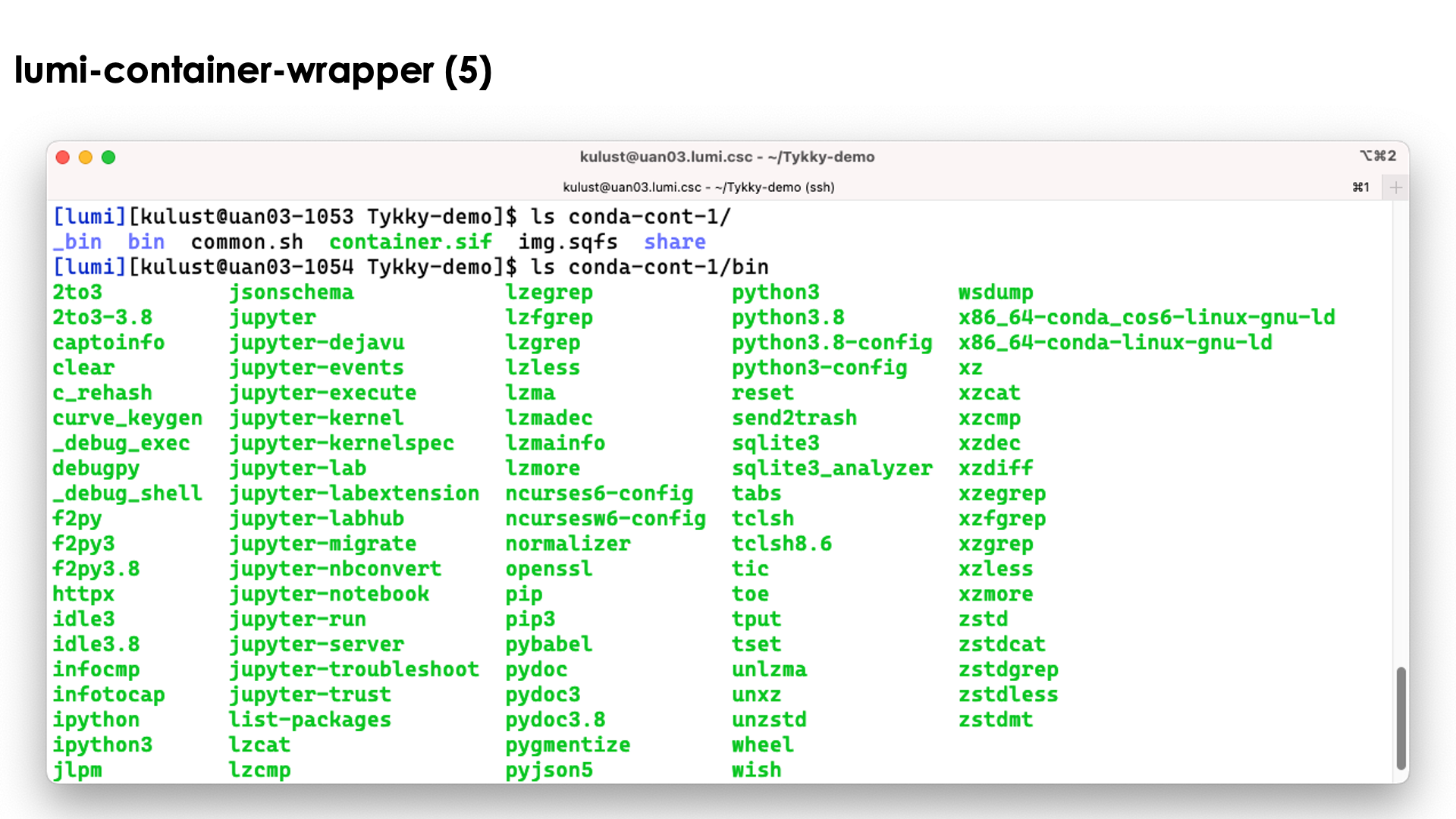 demo lumi-container-wrapper slide 65