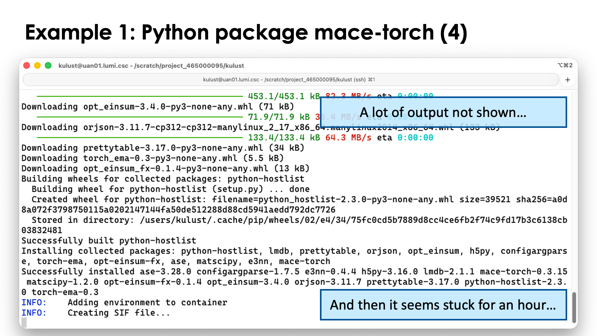 Example 1: Python package mace-torch (4)