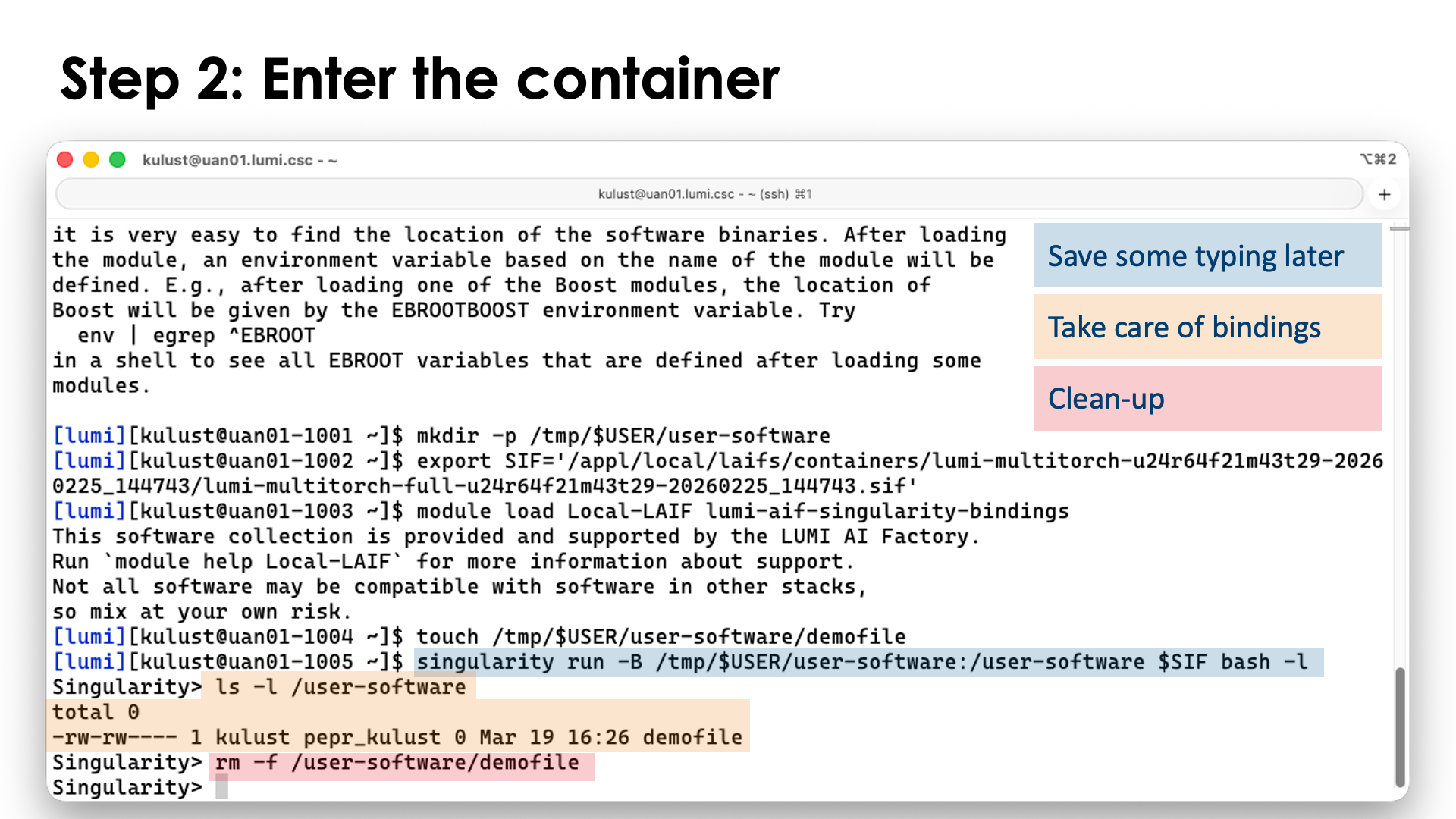 Step 2: Entering the container