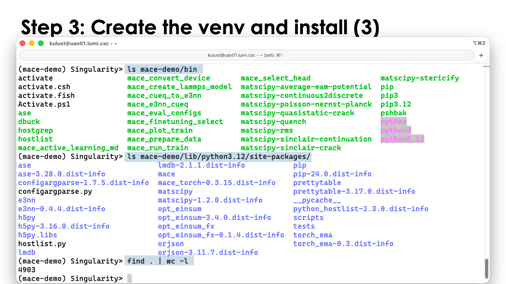 Step 3: Create the virtual directory and install the packages (3)