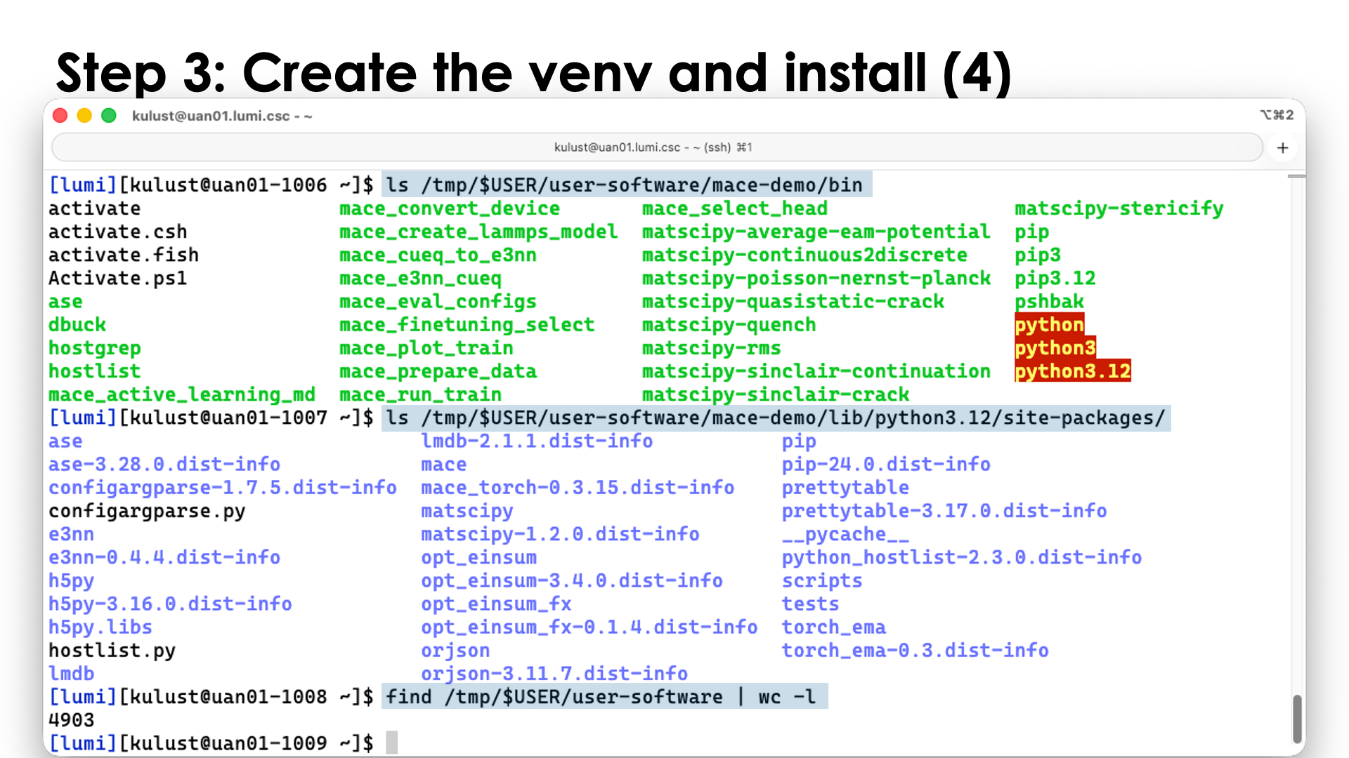 Step 3: Create the virtual directory and install the packages (4)