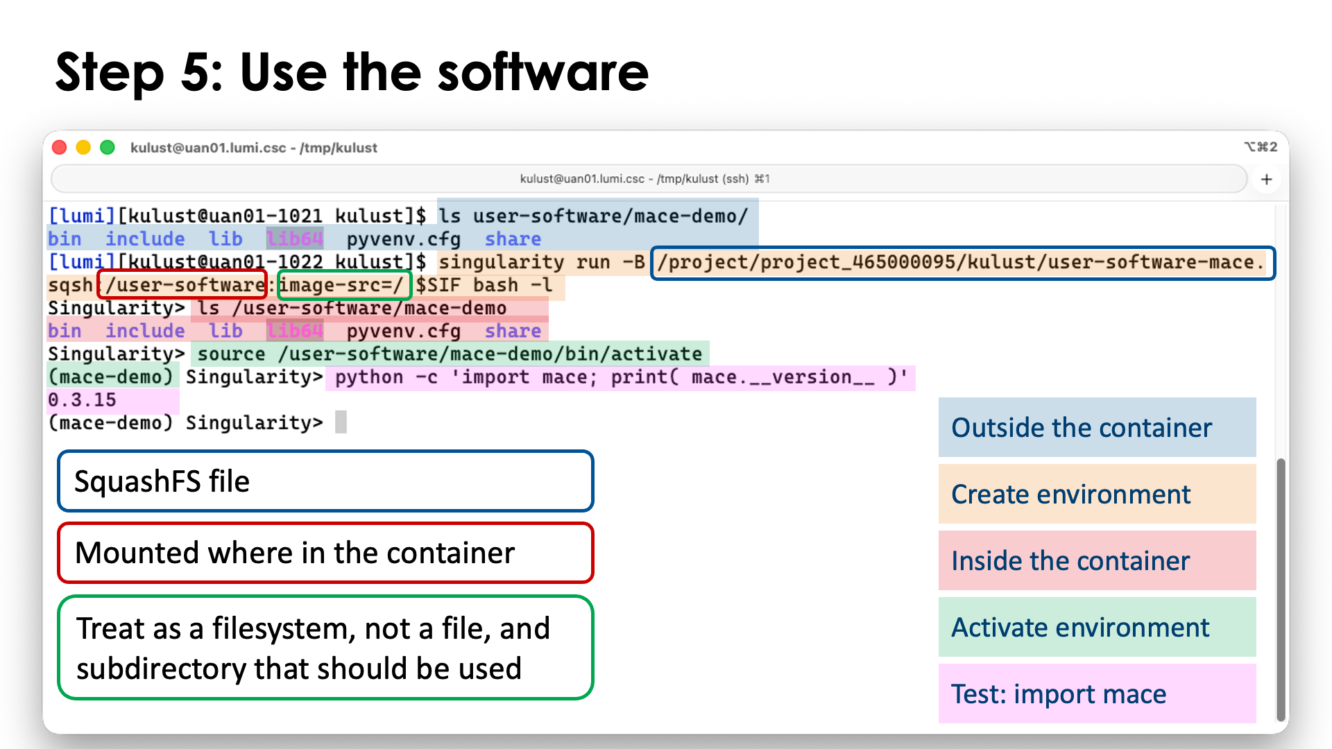 Step 5: Use software in the virtual environment